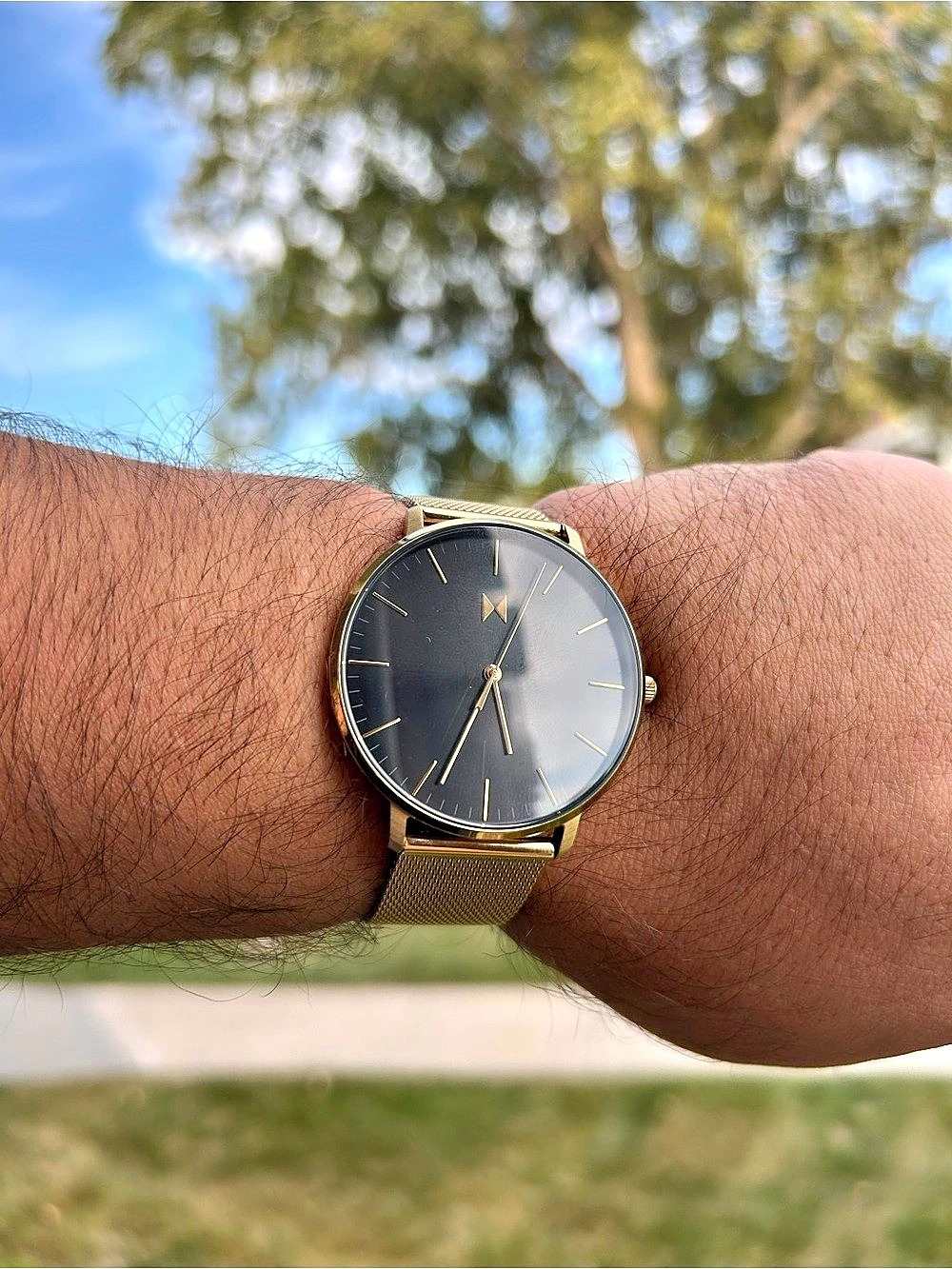 MVMT Legacy Slim Lion Gold & Black Watch